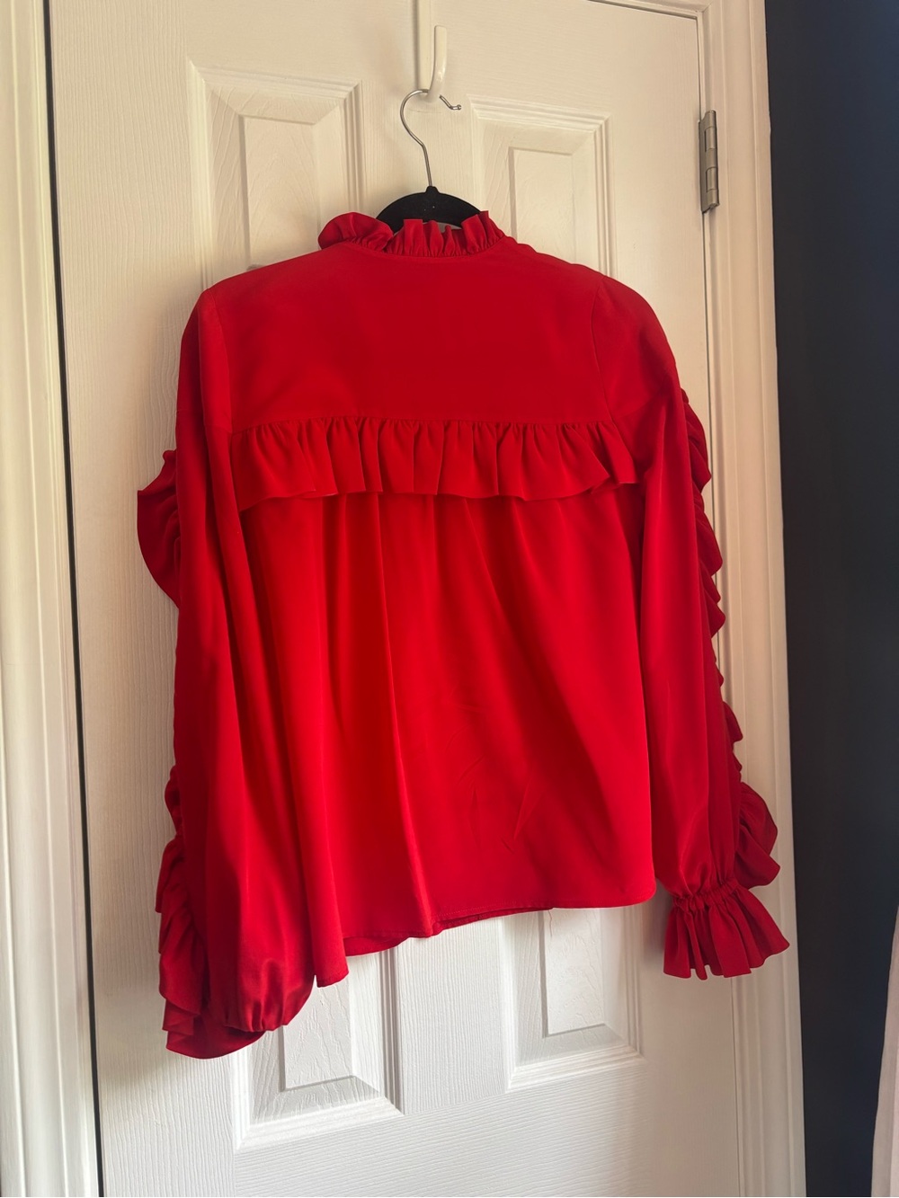Alexis Coral Ruffled Button-Front Blouse - Picture 7 of 7